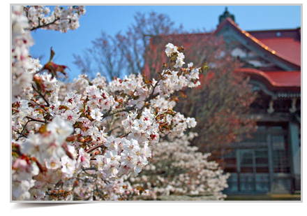 清隆寺